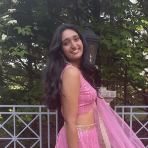 Fundraising Page: Nandini Donthireddy